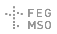FEG MSO